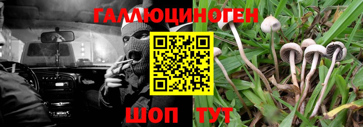 Псилоцибиновые грибы мухоморы Жигулёвск