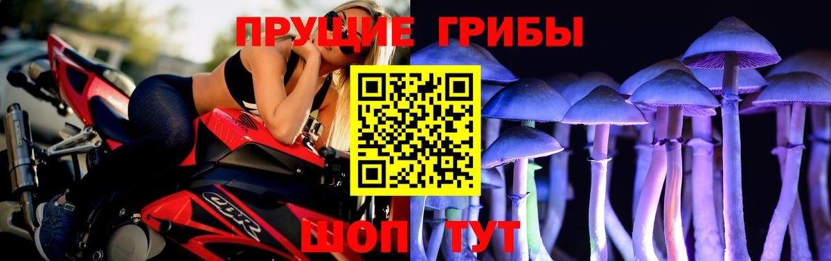 Жигулёвск  Псилоцибиновые грибы мицелий  Вход с VPN  Псилоцибиновые грибы Magic Shrooms 